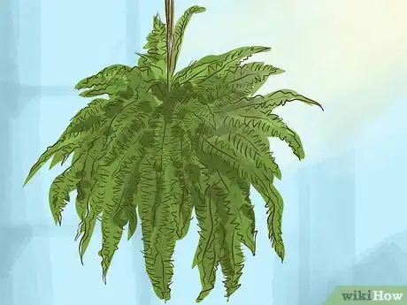 Image titled Choose Houseplants for the Bathroom Step 2