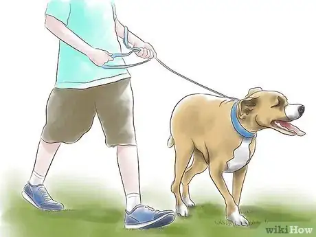 Image titled Train a Pit Bull Step 1