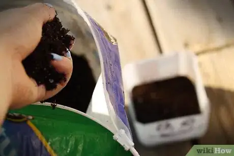 Image titled Make a Planter out of an Old Milk Jug Step 6