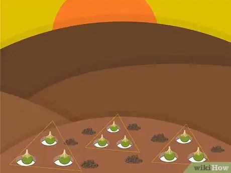 Image titled Plant Narcissus Bulbs Step 10