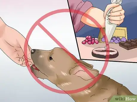 Image titled Give a Dog a Merry Christmas Step 11