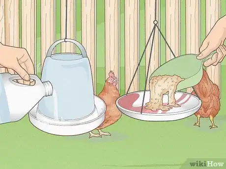 Image titled Prevent Diseases in Chickens Step 3