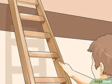 Image titled Teach a Cat to Climb a Ladder Step 1