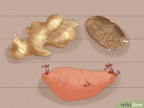 Image titled Regrow Vegetables Step 17