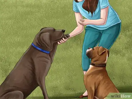 Image titled Keep Your Dog Under Control Outside Step 14
