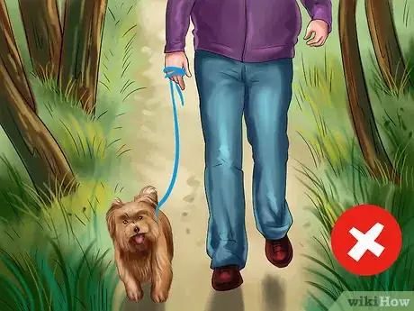 Image titled Keep Ticks from Your Dogs Step 6