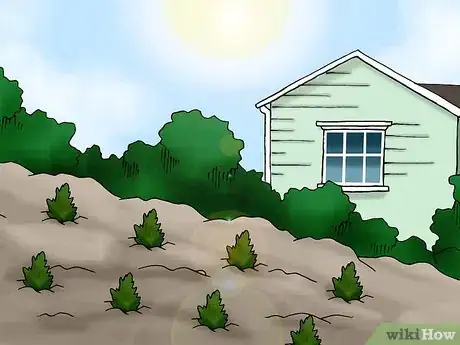 Image titled Plant a Living Christmas Tree Step 6