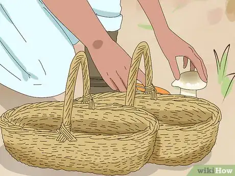 Image titled Identify Mushrooms Step 12