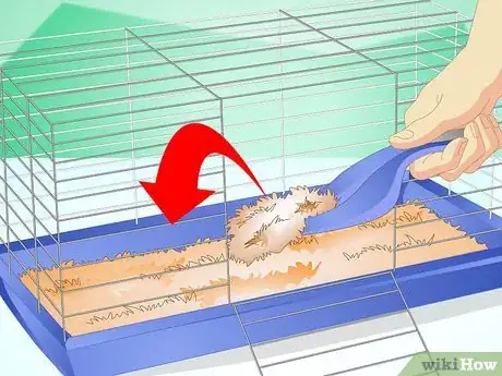 Image titled Create a Habitat for a Hamster Step 10