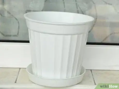 Image titled Grow Geraniums Indoors Step 2