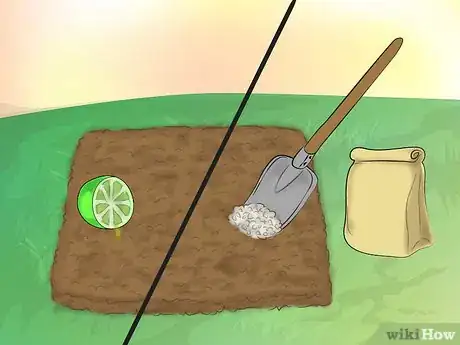 Image titled Grow Knockout Roses Step 4