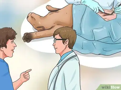 Image titled Get Dogs to Mate Step 6