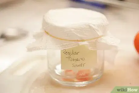 Image titled Save Tomato Seeds for Next Year Step 7