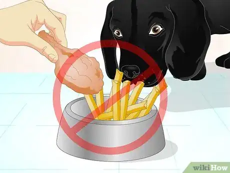 Image titled Firm Up Your Dog's Stool Step 7