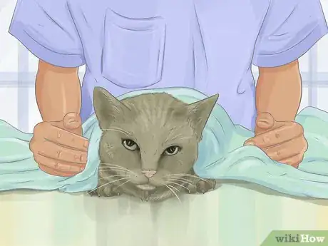 Image titled Capture an Angry or Upset Cat Step 6