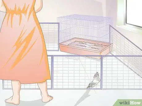 Image titled Deal With a Mean Hamster Step 4