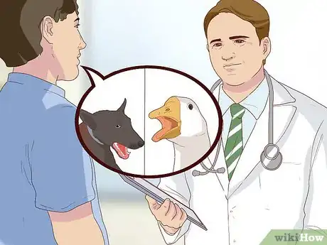 Image titled Diagnose Coughing in Dogs Step 6