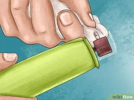 Image titled Care for Papillons Step 3