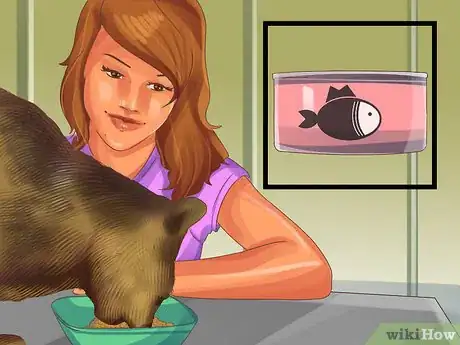 Image titled Socialize a Fearful Cat Step 6