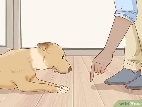 Image titled Teach Your Dog to Duck Step 8