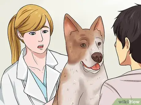 Image titled Treat Ascarids in Dogs Step 8