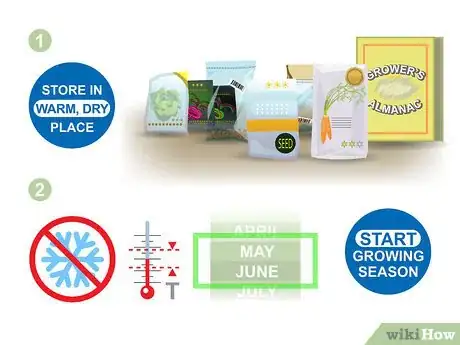 Image titled Grow Biennial Vegetables Step 01