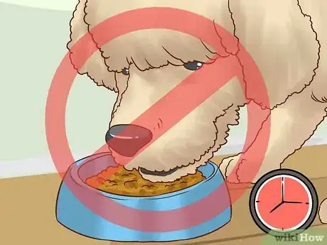 Image titled Get a C‐Section for Your Dog Step 3