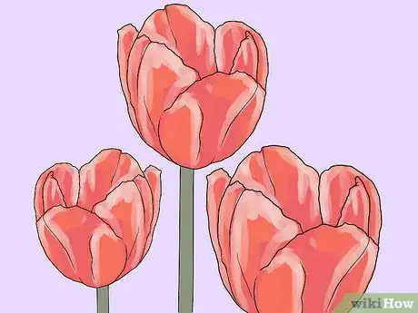 Image titled Plant Bulbs in Grass Step 11