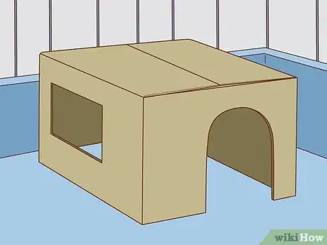 Image titled Befriend a Shy Rabbit Step 3