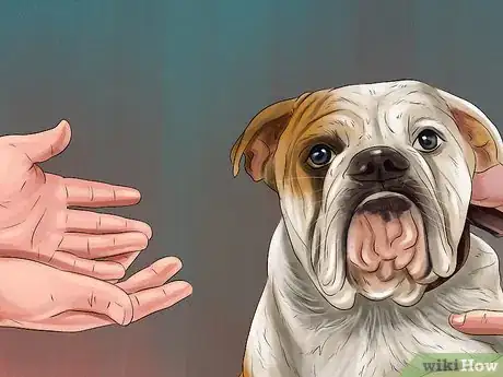 Image titled Adopt Out a Shy Dog Step 16