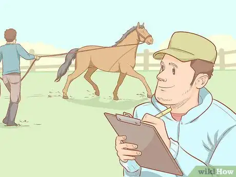 Image titled Become a Riding Instructor or Coach Step 4