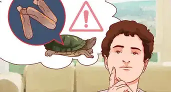 Catch Water Turtles