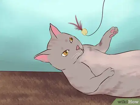 Image titled Get Your Cat to Know and Love You Step 12