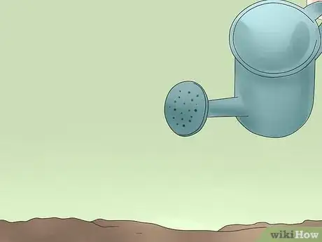 Image titled Grow Poppies Step 9