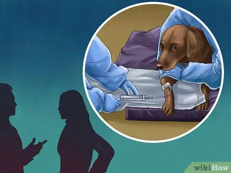 Image titled Treat Prostate Disease in Intact Male Dogs Step 12