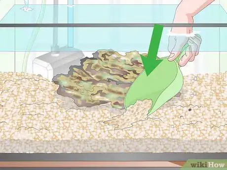 Image titled Start a Saltwater Reef Tank Step 18