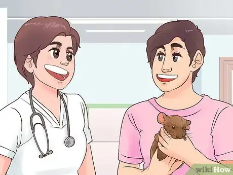 Image titled Keep Multiple Chinchillas Step 1