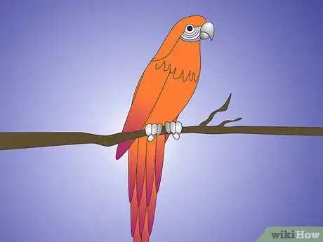 Image titled Teach Your Parrot to Wave Hello Step 1