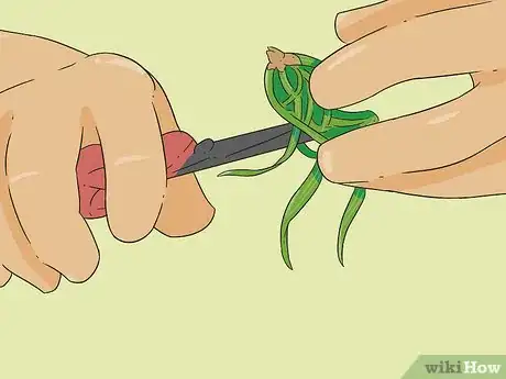 Image titled Propagate Baby Spider Plants Step 1