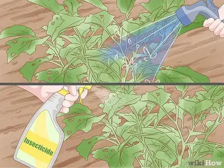 Image titled Grow Vegetables in New England Step 21