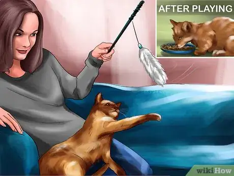 Image titled Encourage Your Cat's Hunting Instinct Step 8