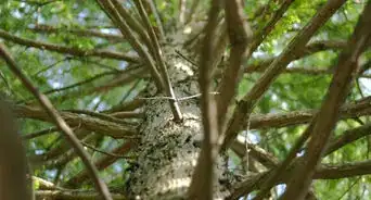 Celebrate the International Day for Biodiversity