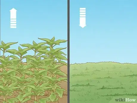 Image titled Help Prevent Desertification Step 3