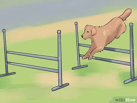 Image titled Get Your Dog to Jump Poles Step 8