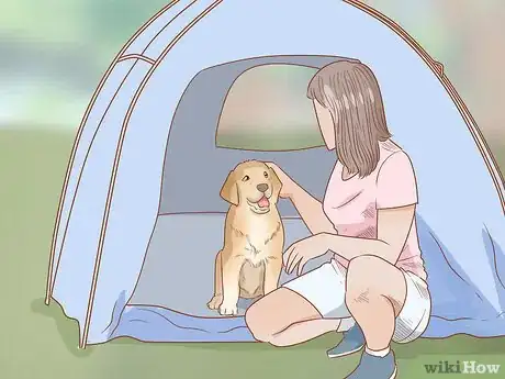 Image titled Take Your Dog Camping Step 6
