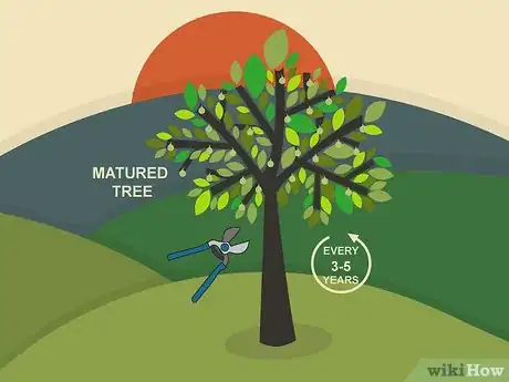 Image titled Prune Walnut Trees Step 07