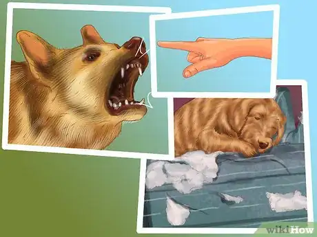 Image titled Decide Whether to Get a Second Dog Step 7