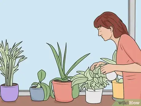 Image titled Handle Moving Back Home During the Coronavirus Outbreak (for College Students) Step 12