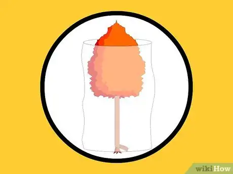 Image titled Prepare Newly Planted Trees for Winter Step 2