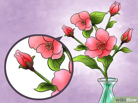 Image titled Select Blooming Houseplants Step 11